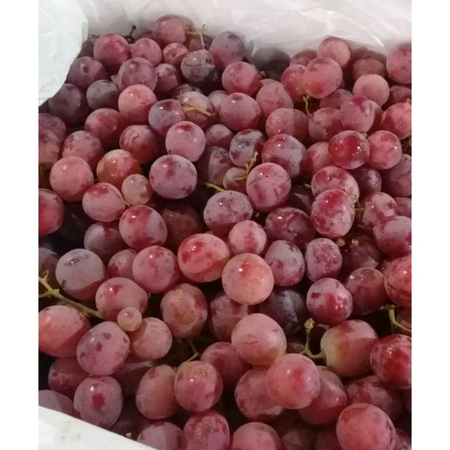 

Buah anggur merah|buah anggur|anggur merah|buah segar|buah segar bandung