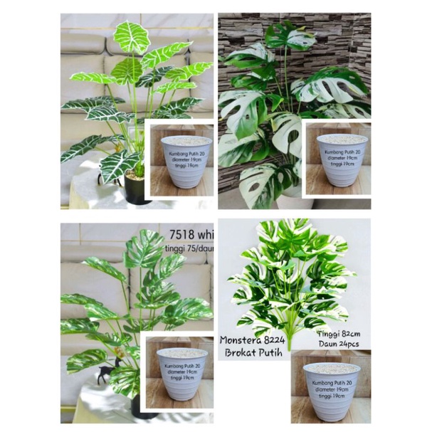 Pohon monstera dan pisang besar artificial + pot / pohon keladi