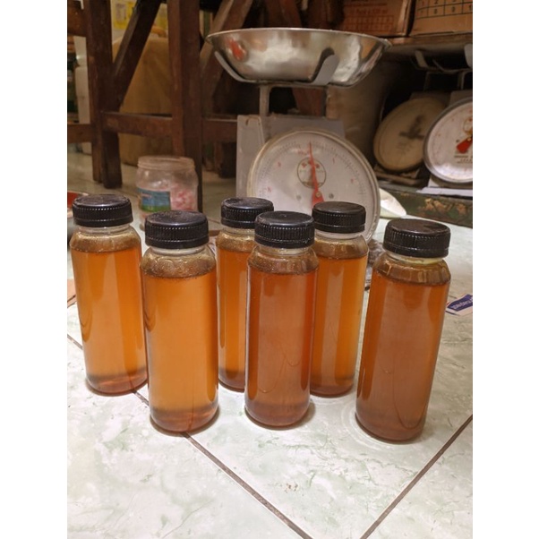 

madu lebah liar asli(lampung)