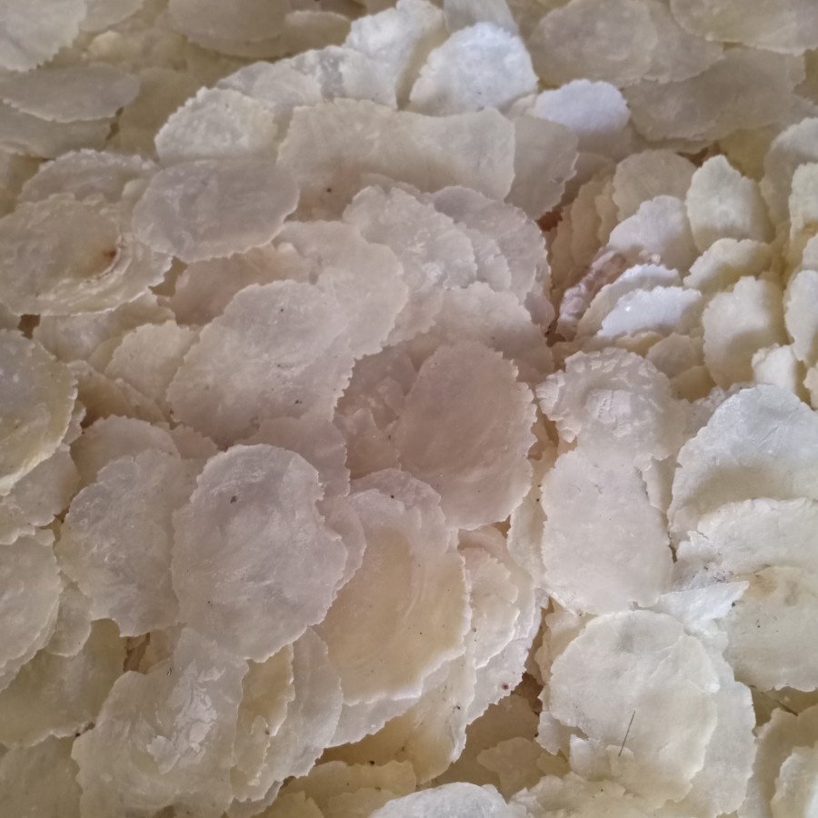 

Kerupuk Emping Melinjo Mentah 500 Gram