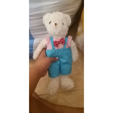 Boneka Teddy Kostum