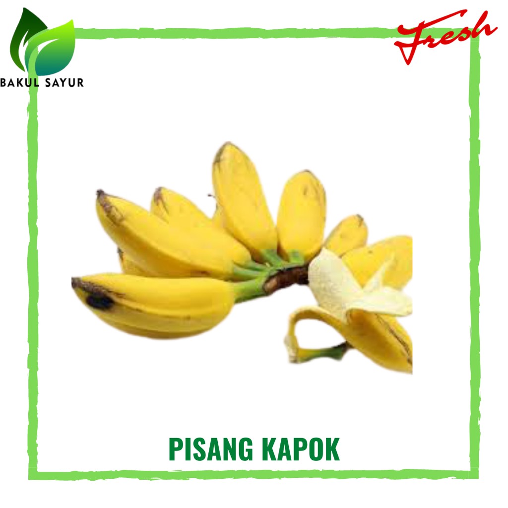 

PISANG KAPOK KUNING BESAR PERSISIR - BUAH SEGAR JAKARTA TIMUR