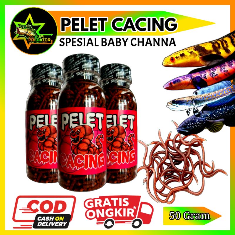 Pelet Cacing By GFS For Baby Channa Original