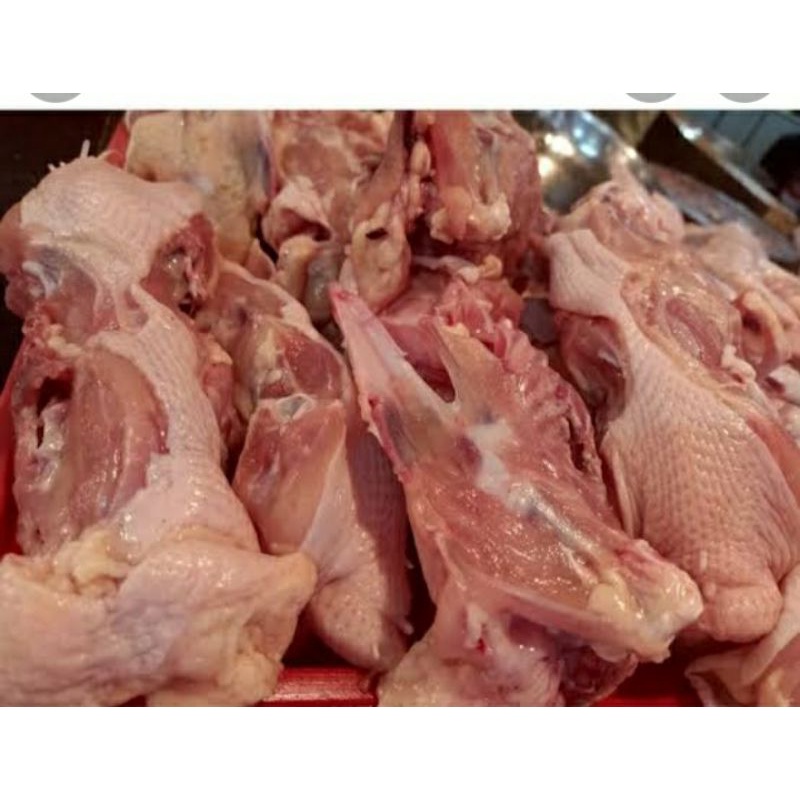 

kerongkongan ayam