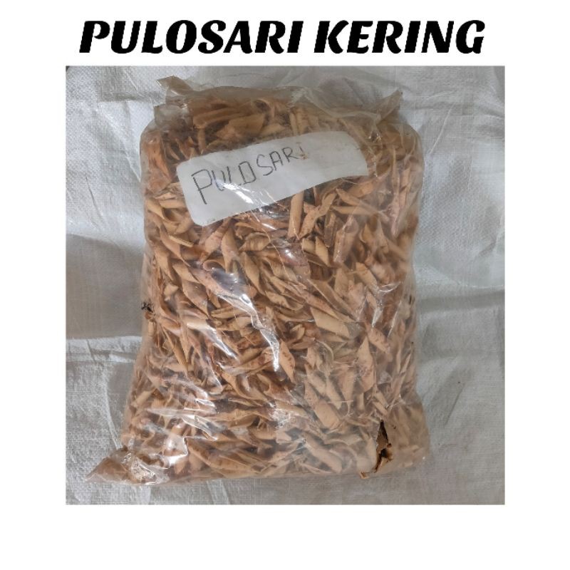 

1KG KULIT KAYU PULOSARI KERING KUALITAS PREMIUM