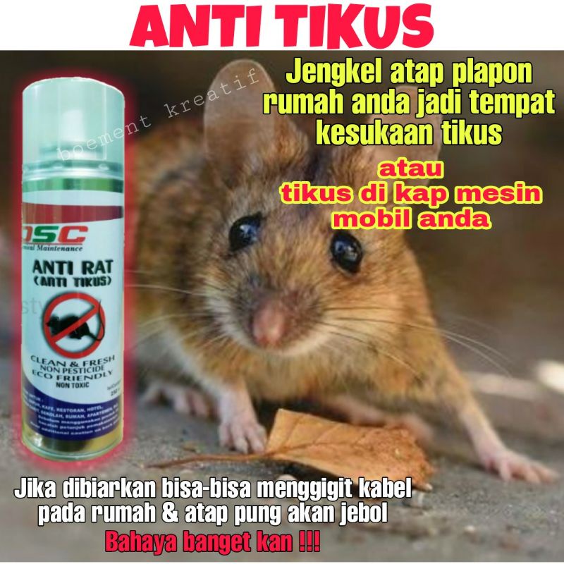 ANTIRAT TIKUS DSC PENGUSIR TIKUS DAPUR/RUMAH/GEDUNG/GARASI/DAPUR/CAFE/MOBIL UKURAN 250 ML ORIGINAL