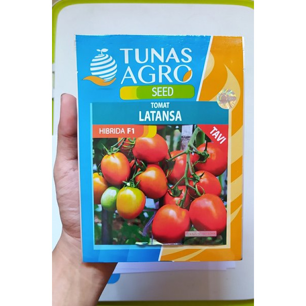 50++Benih Tomat Berkualitas Latansa F1 - Bibit Tanaman Unggul Tomat Berbuah Lebat - Biji Sayur Berse