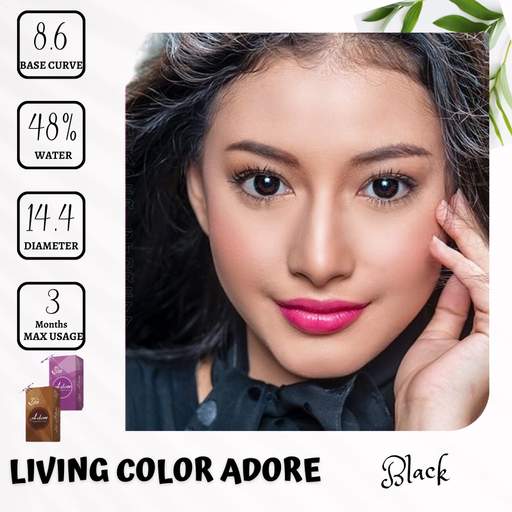 SOFTLENS LIVING COLOR - ADORE MINUS 0.50 SD 2.75