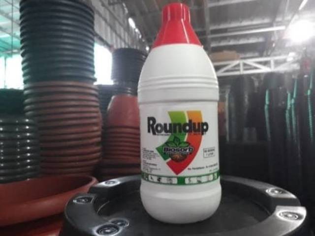 Pembasmi rumput &amp; alang2 ROUND UP 486 SL herbisida 1 liter - ROUND UP 1 LITER