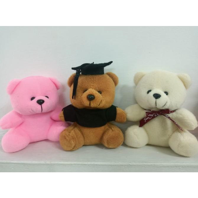 Premium Product!!! Boneka Beruang Teddy Bear Mini Valentine Wedding Souvenir Bucket buket hadiah Wis