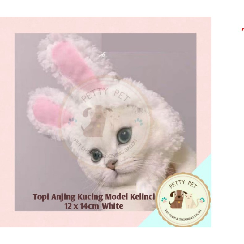 Topi Anjing Kucing Model Kelinci White Topi Hewan Accesories Hewan