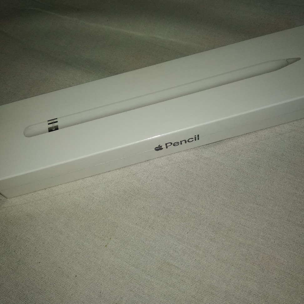 Apple Pencil iPad Garansi IBOX STORE 1 Tahun Stylus iPad