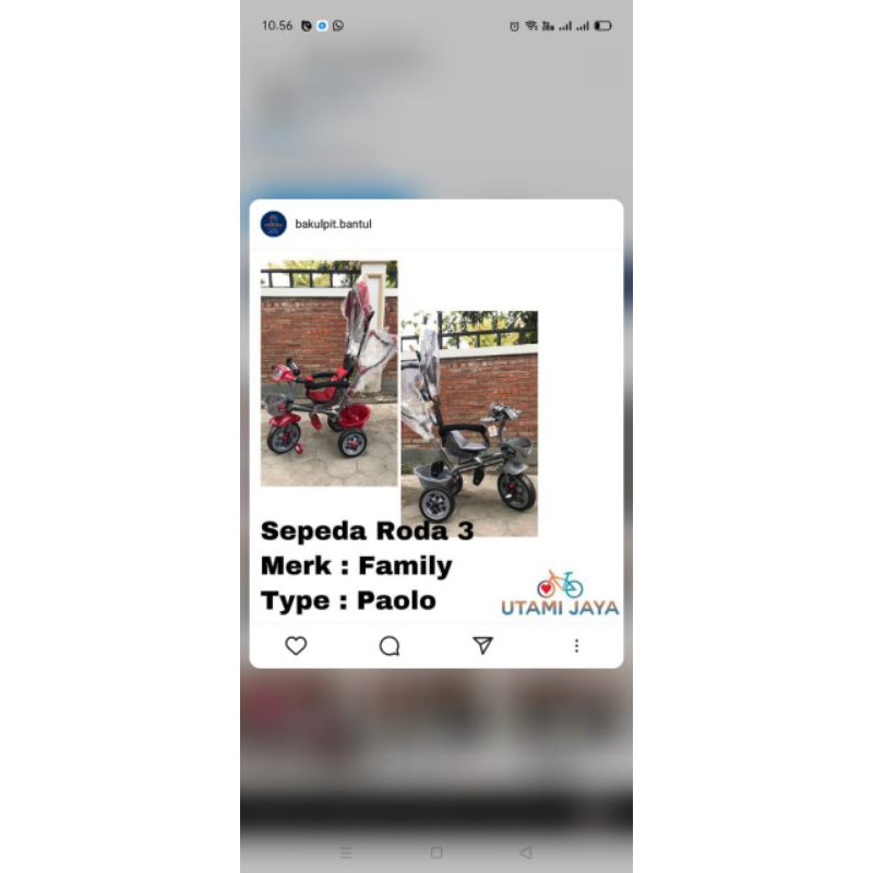 sepeda roda 3 family Paolo f860j