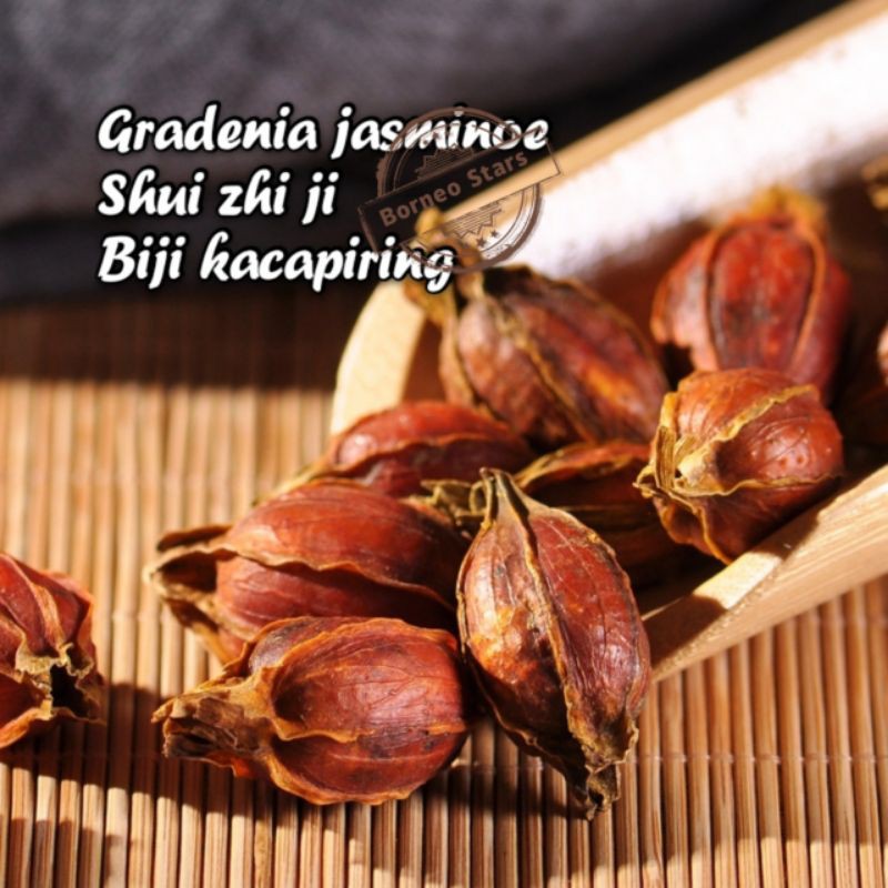 

Biji Gradenia 50g jasminoe / Shui zhi ji