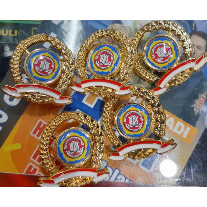 Pin Karang Taruna