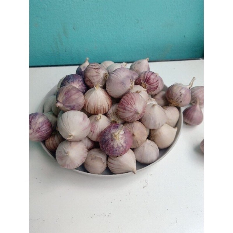 

Bawang Putih Tunggal Lanang 1 KG Kilogram Import Jumbo Besar Dan Sedang Fresh!!!