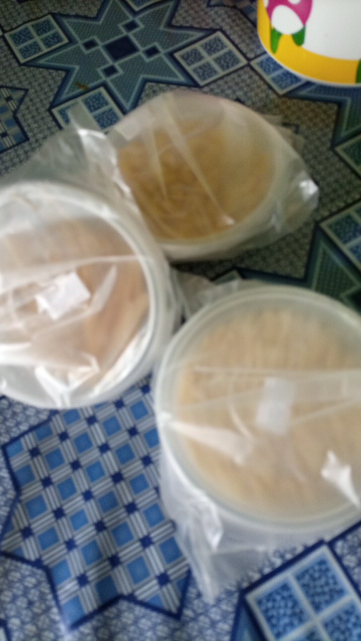 Pasta All Varian 100 Cup