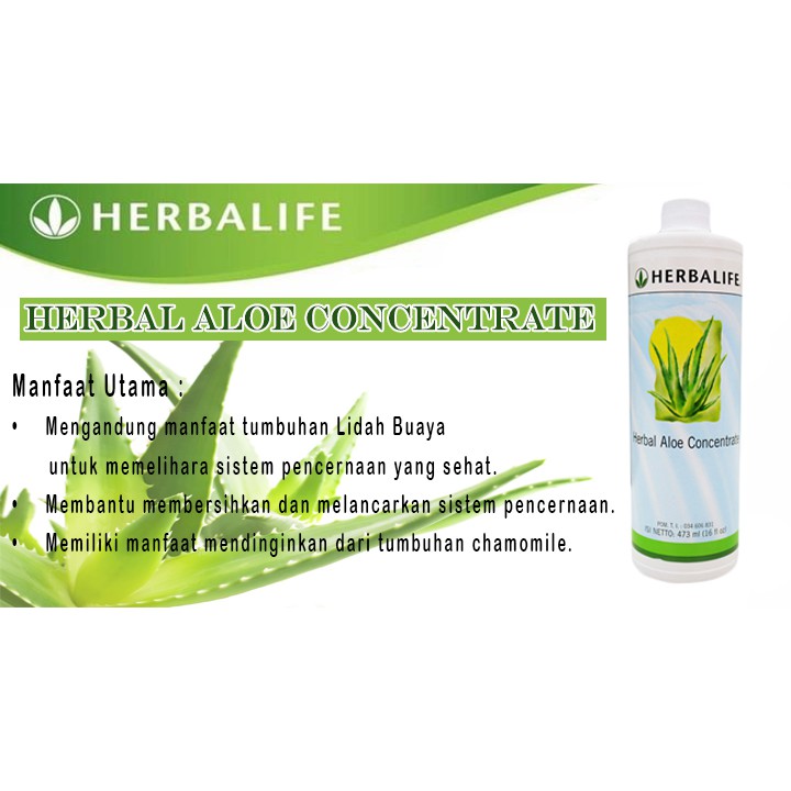 Herbal Aloe Concentrate Herbalife Shopee Indonesia