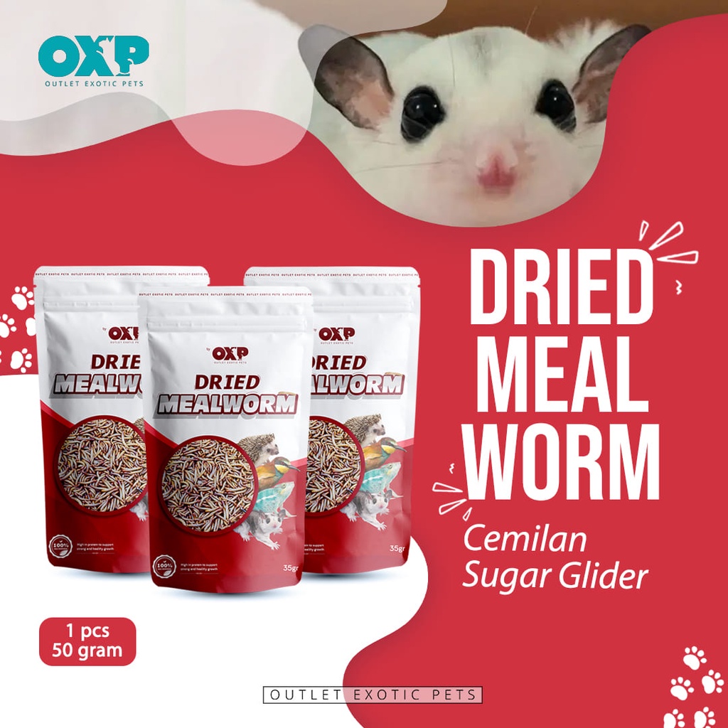 Ulat Hongkong Kering Snack Sugar Glider, Hamster, & Burung
