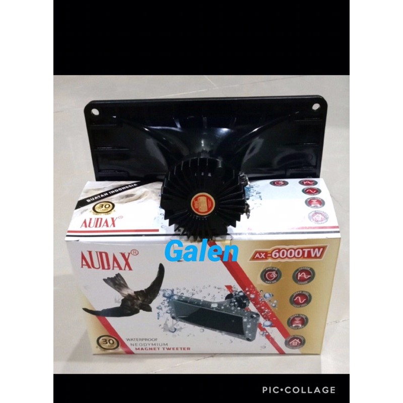 tweeter Audax ax 6000 TW tahan air waterprof