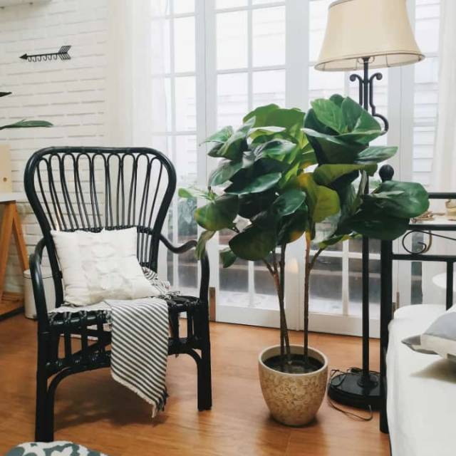 Pohon Artificial - Pohon Palsu - Pohon Ketapang Artificial - Tanaman Hias