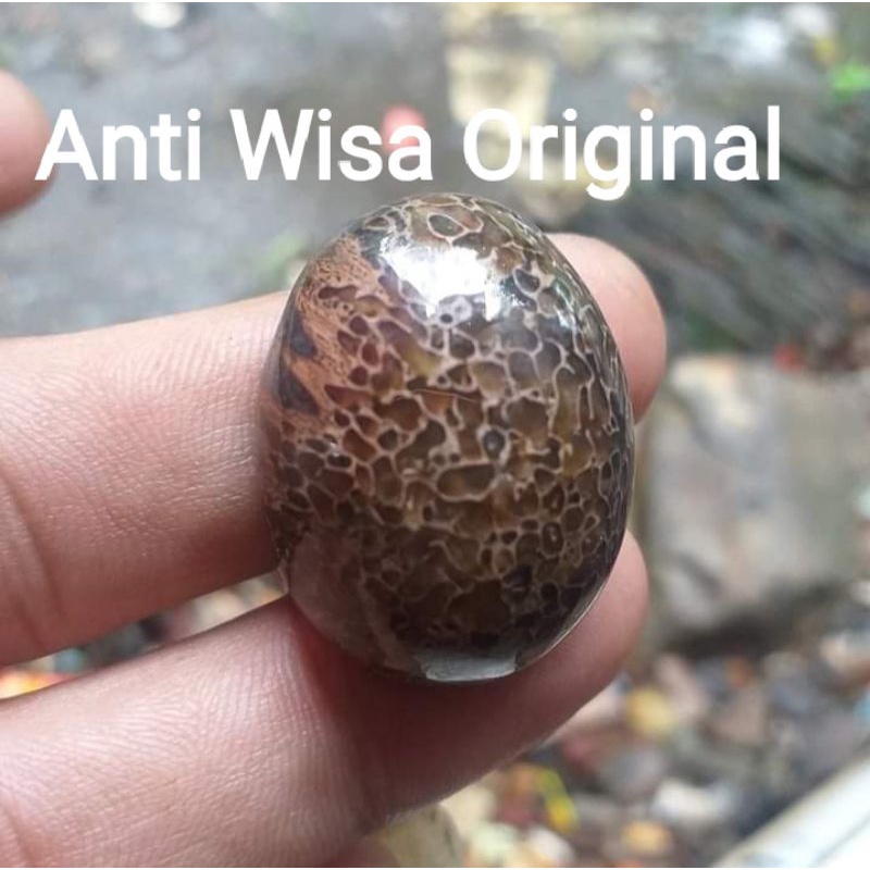 Batu akik anti wisa asli Termurah grosir