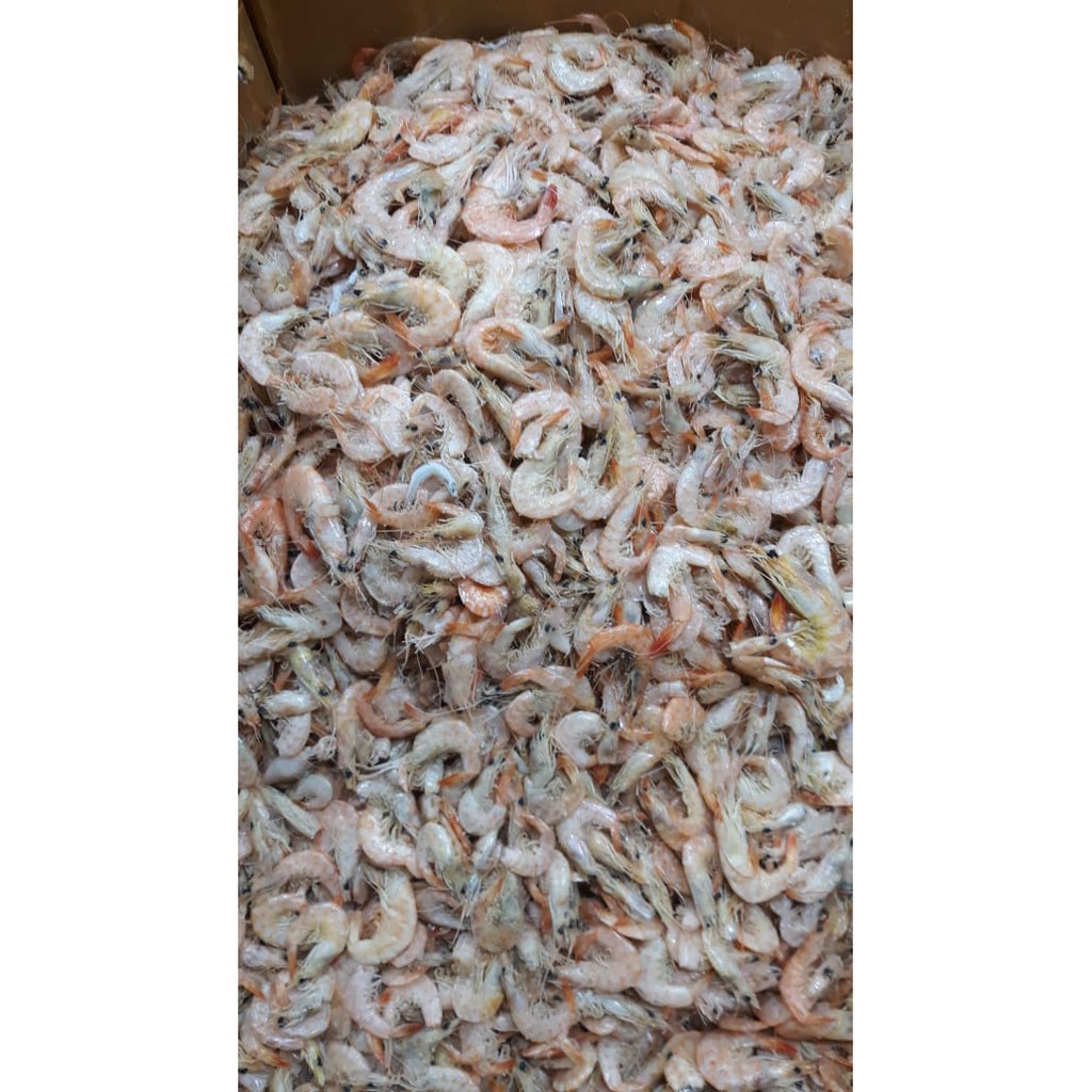 

UDANG MANIS 1KG