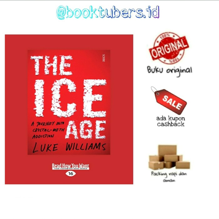 buku The Ice Age : A Journey into crystal-meth addiction