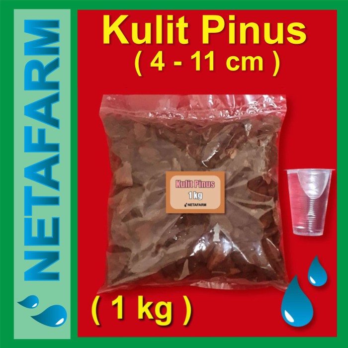 Media Tanam Kulit Pinus cacah PINE BARK ( 4 - 11 cm ) - 1 kg