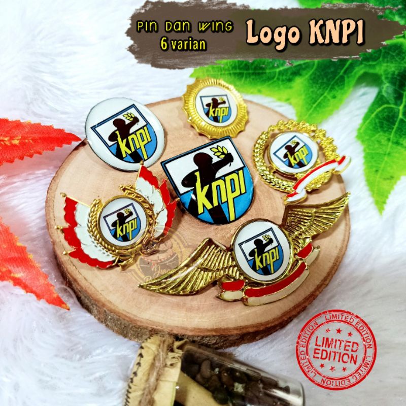 PIN LOGO KNPI