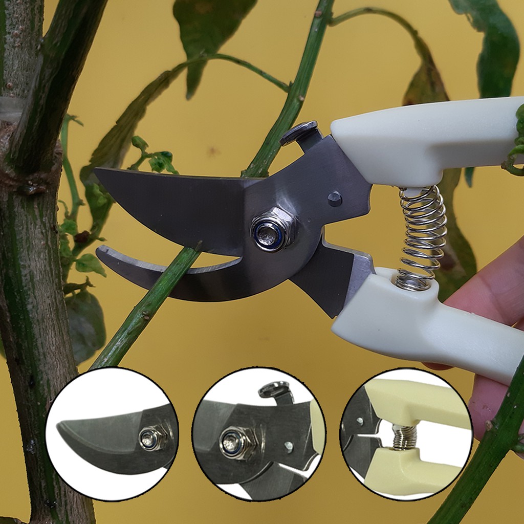 Gunting Pruning Alat Potong Dahan Dan Ranting Tanaman Stek PG KDR