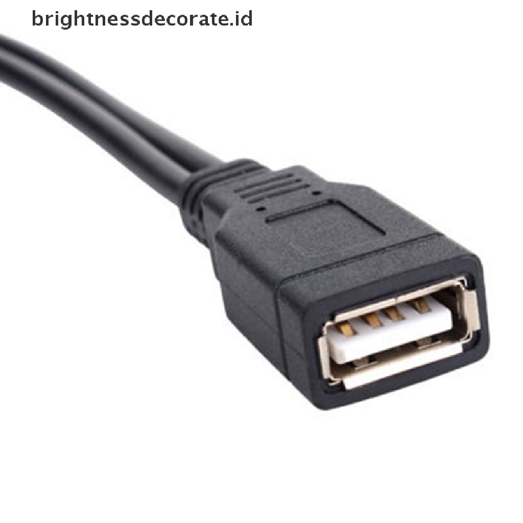 Kabel Data / Charger Splitter Usb 2.0 1 Female Ke 2 Male Bentuk Y