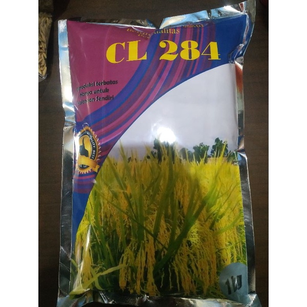 Benih padi CL 284 premium 1 kg