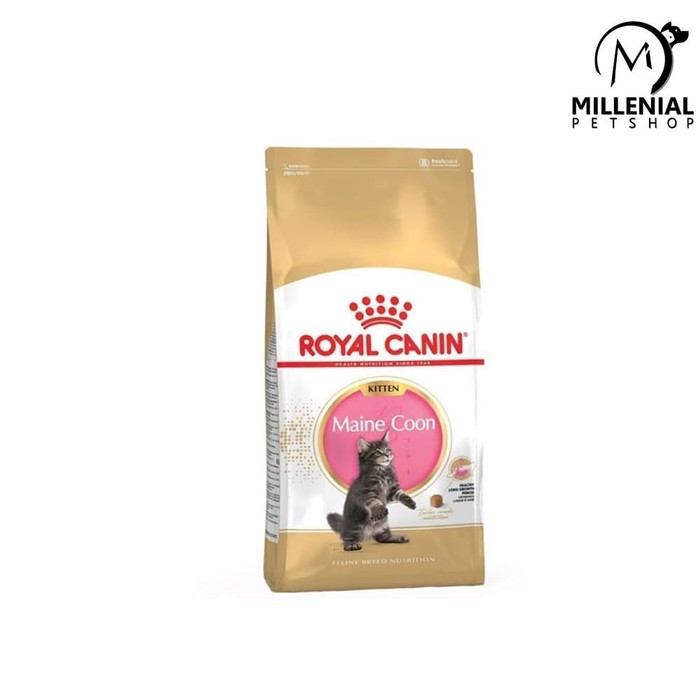 Makanan kucing royal canin kitten mainecoon 2kg maine coon kitten 2 kg