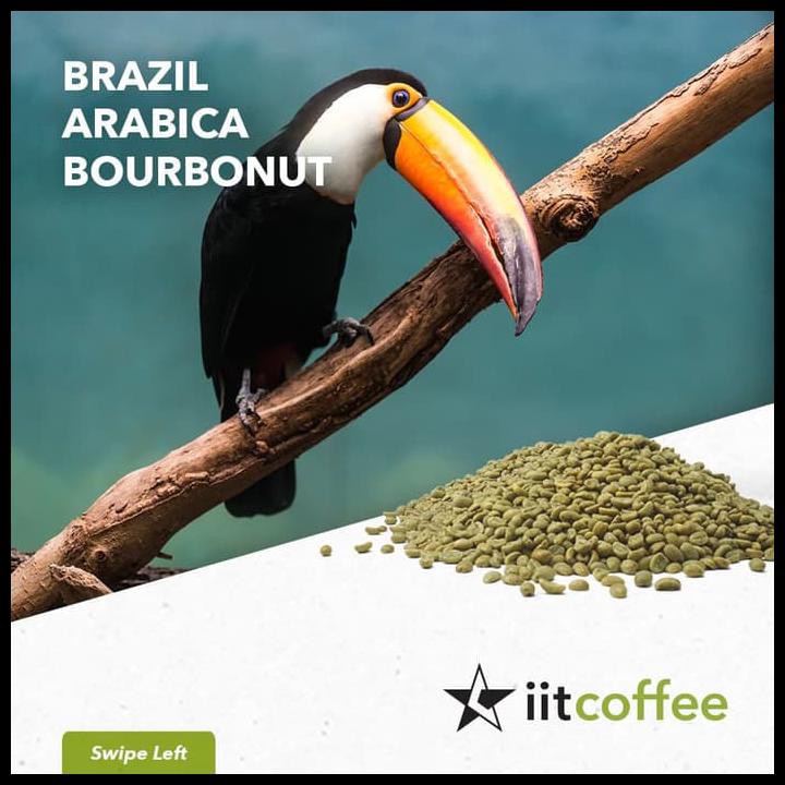 

Arabica Green Beans - Brazil Bourbonut Natural 1 Kg