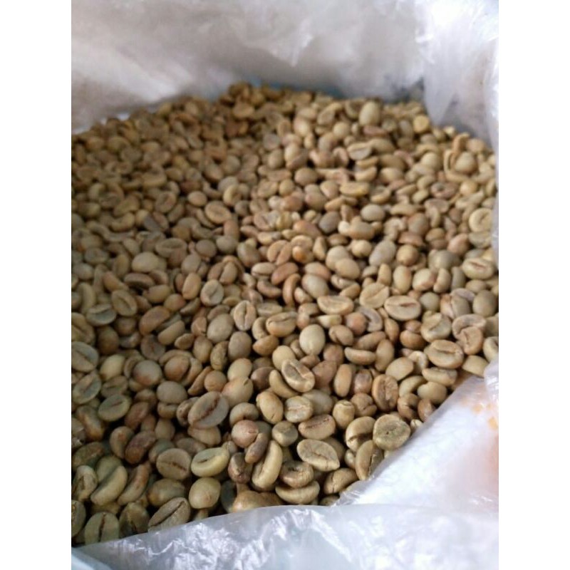 

greenbean kopi robusta pilihan grade 1