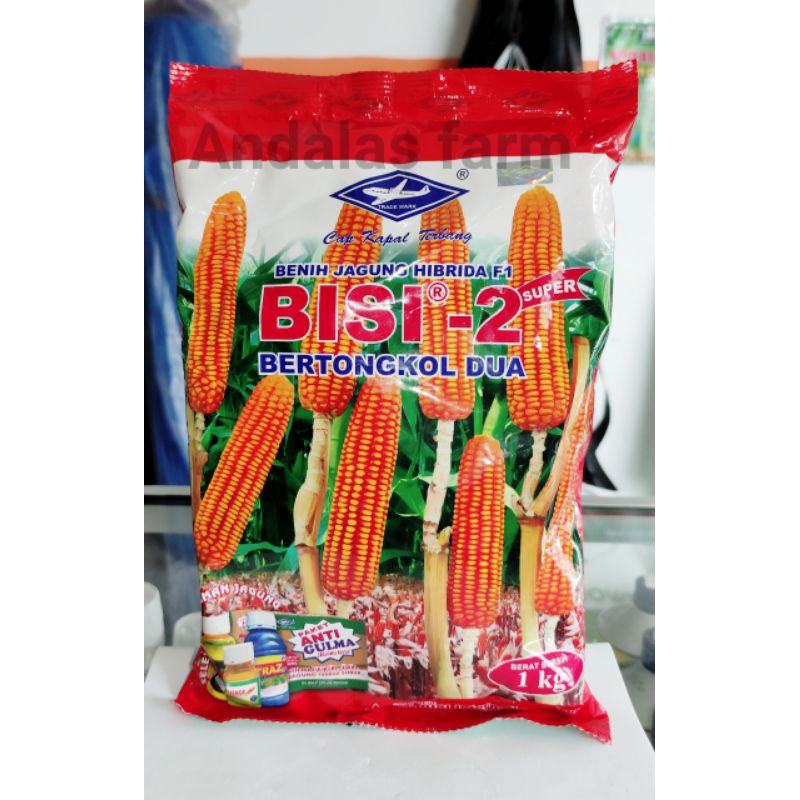 

jagung Bisi 2 @1kg(wajib menambahkan bubble wrap saat checkout)