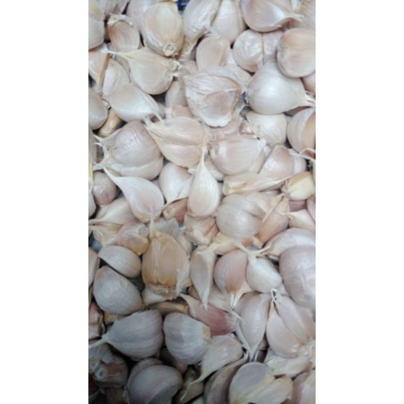 

Bawang putih kating super - pilihan. berat 500gr