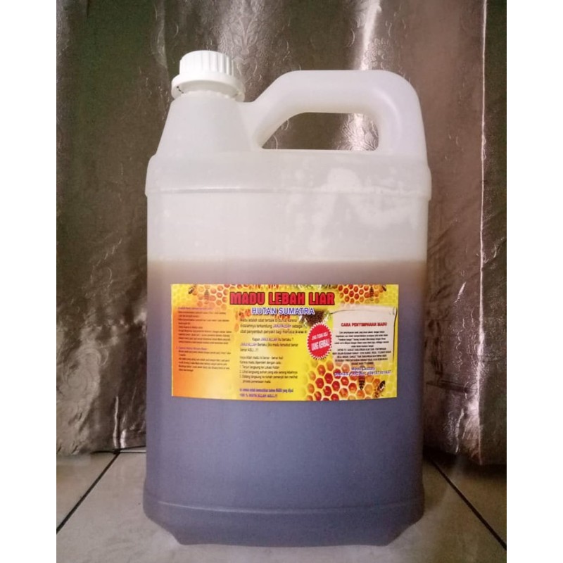 

madu lebah liar hutan sumatra 5 liter