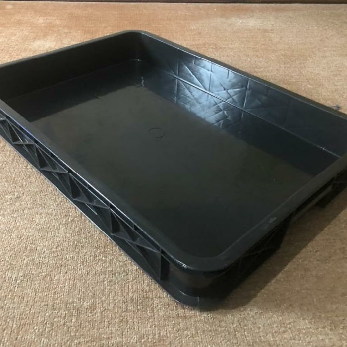 KOTAK KANDANG ULAT & KUMBANG JERMAN