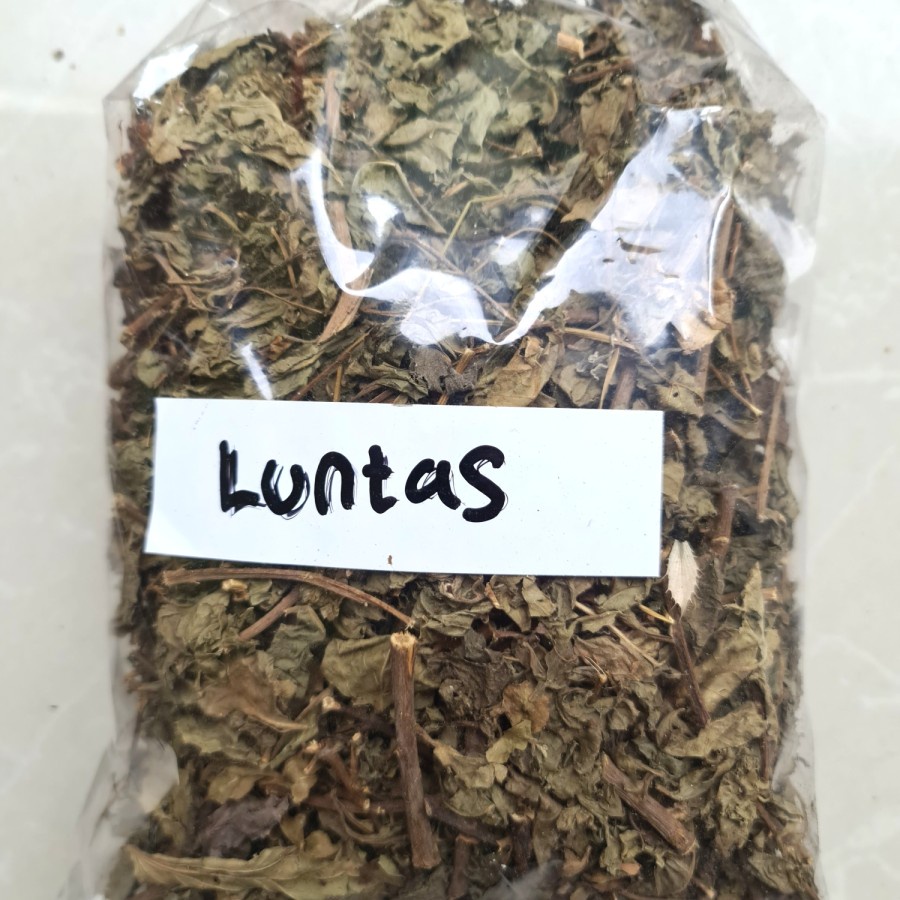 

Daun Beluntas Kering 500 gr - Daun Luntas Kering 500 g