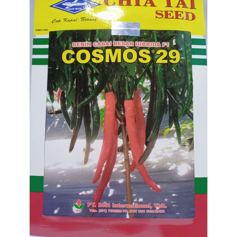 benih cabe merah besar COSMOS 29 f1
