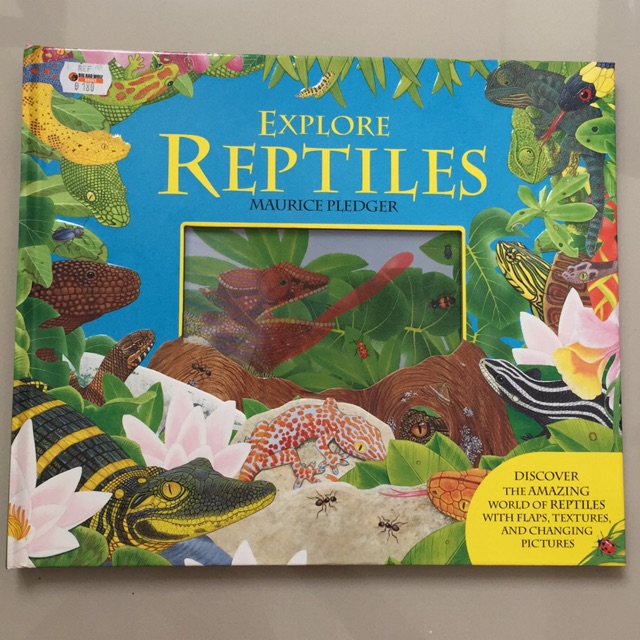 Explore Reptiles