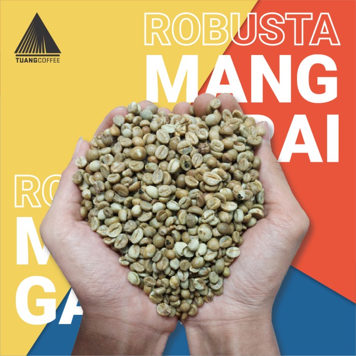 

✨COD✨ Green Bean Robusta Tuang Coffee Flores Manggarai Commercial Grade