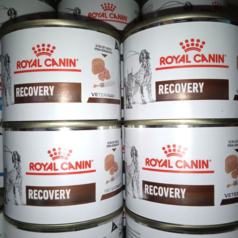 Royal Canin Recovery 195g / Dog food / Cat Food