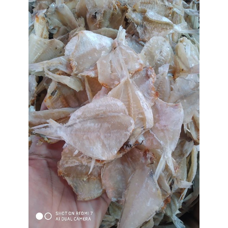 

Ikan Asin Kapas (kapasan) TERMURAH