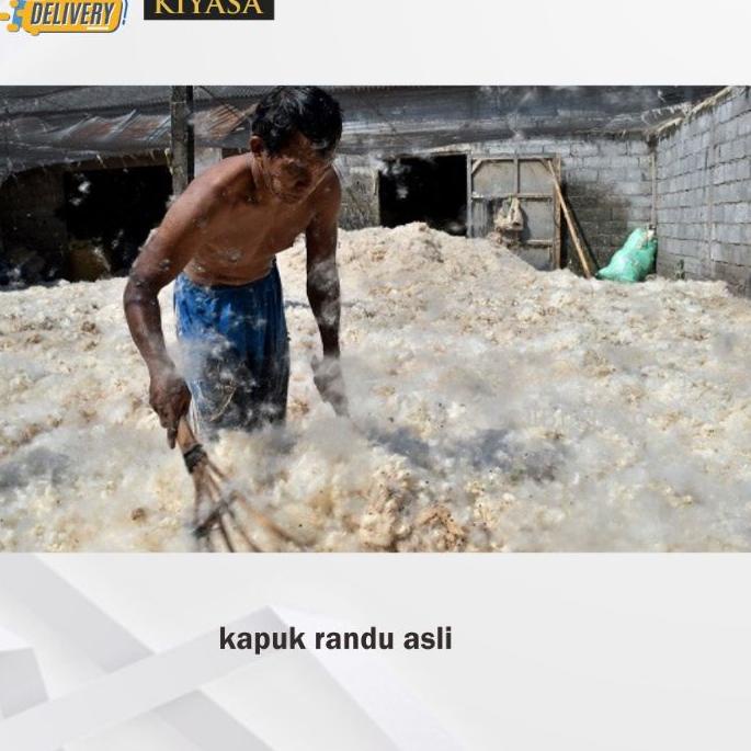 ⚡COD⚡ KAPUK RANDU KILOAN TANPA BIJI/KAPUK RANDU KILOAN MURAH/KAPUK RANDU GROSIR