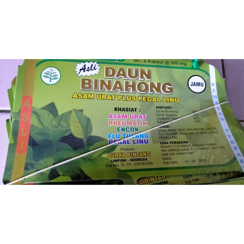 

Daun binahong obat asam urat dan pegal linu