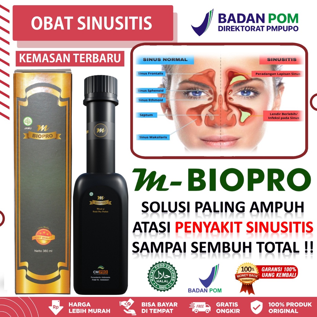 mbiopro herbal alami untuk atasi sinusitis - pilek menahun