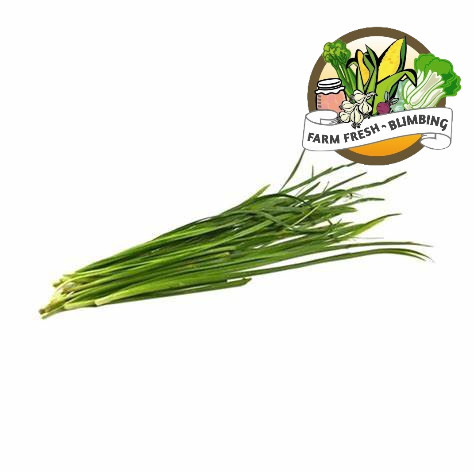 

Chives / Kucai 200 gr